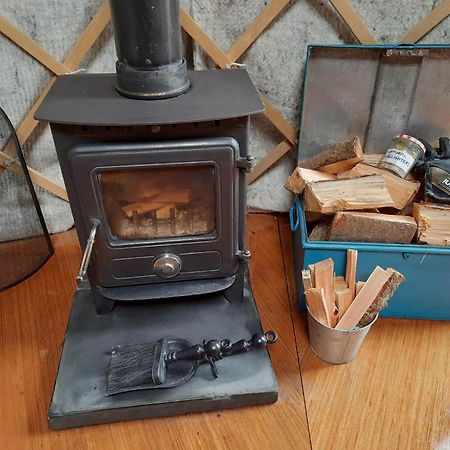 Ceridwen Glamping, Double Decker Bus And Yurts Hotel Llandysul Ngoại thất bức ảnh