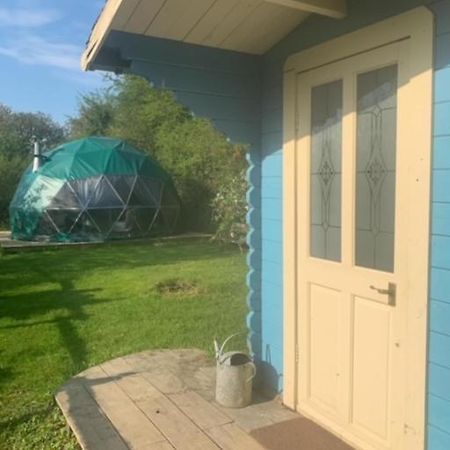 Ceridwen Glamping, Double Decker Bus And Yurts Hotel Llandysul Ngoại thất bức ảnh