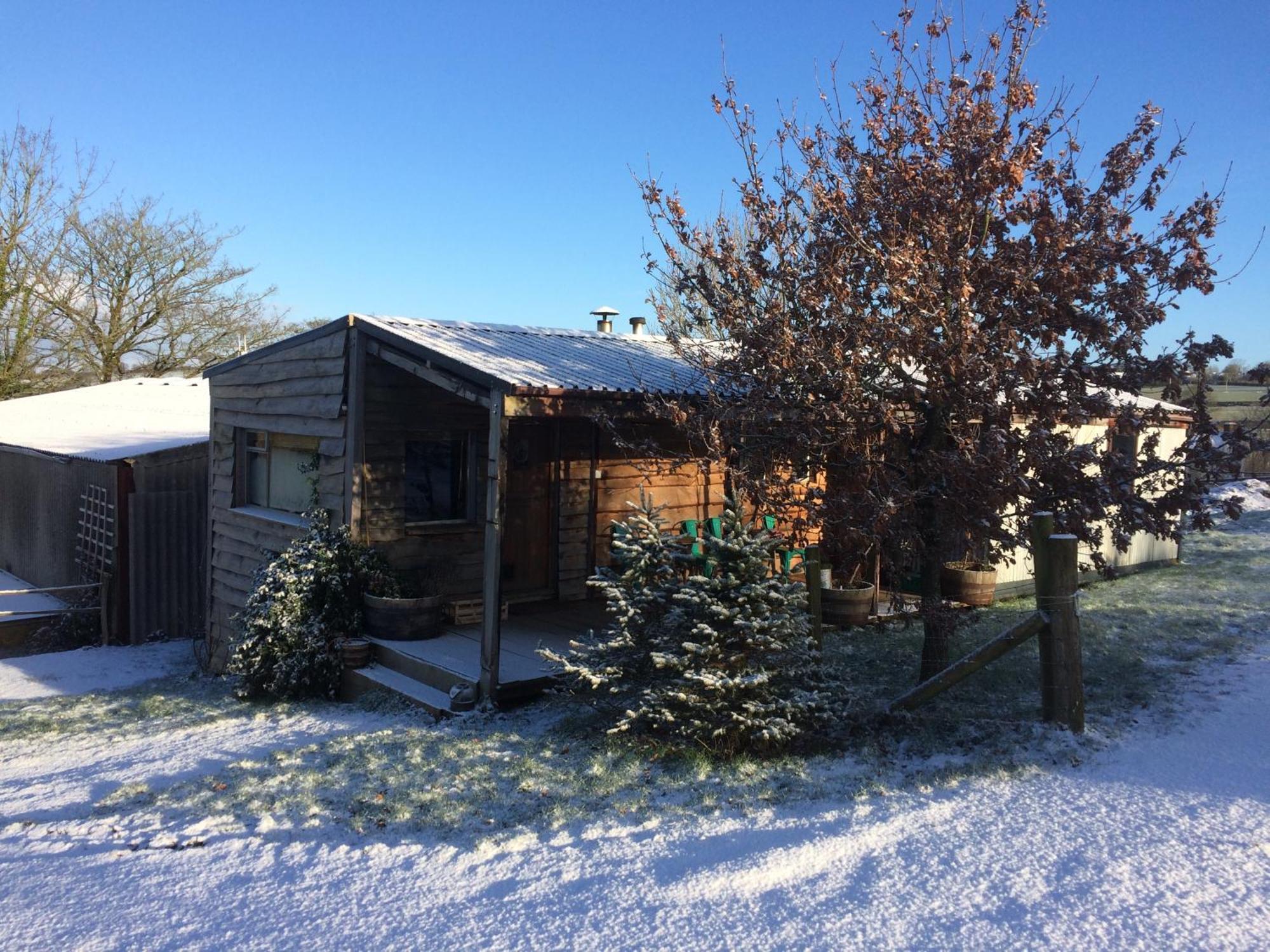 Ceridwen Glamping, Double Decker Bus And Yurts Hotel Llandysul Ngoại thất bức ảnh