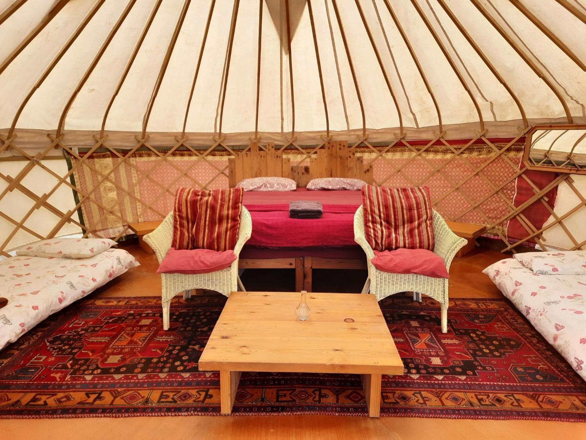 Ceridwen Glamping, Double Decker Bus And Yurts Hotel Llandysul Ngoại thất bức ảnh