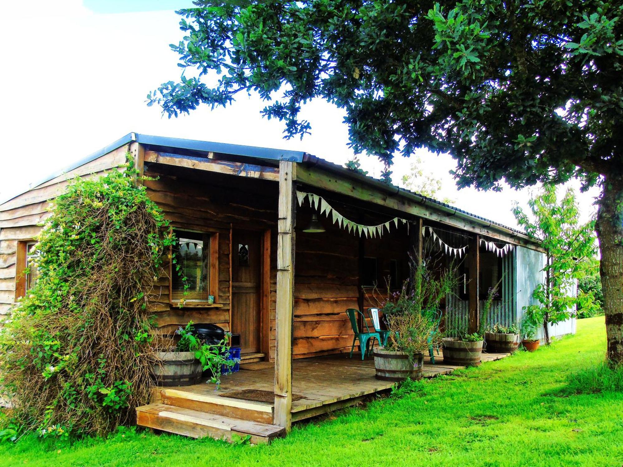 Ceridwen Glamping, Double Decker Bus And Yurts Hotel Llandysul Ngoại thất bức ảnh