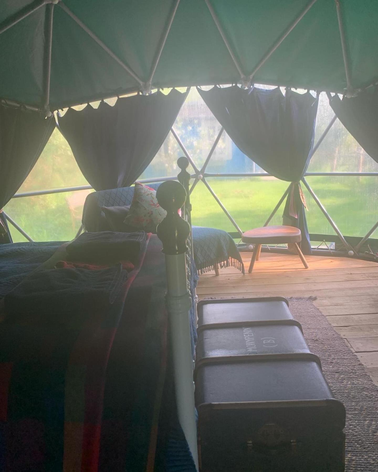 Ceridwen Glamping, Double Decker Bus And Yurts Hotel Llandysul Ngoại thất bức ảnh